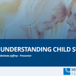 A screenshot of a webinar "Understanding child support"