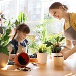 Dealing with stress. Accompanying picture: mother and daughter taking care of home plants at table indoors