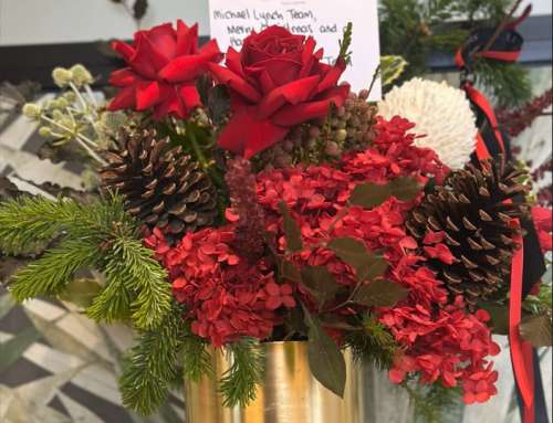 Feeling the Christmas Cheer